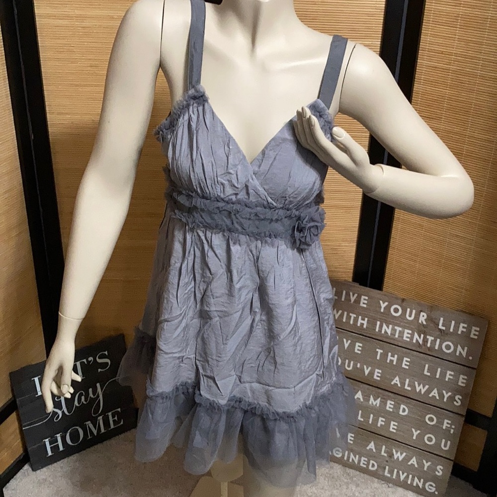 Blue bird gray dress size large